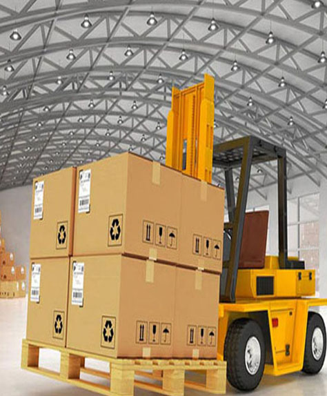 Procurement & Consultancy Services specialization